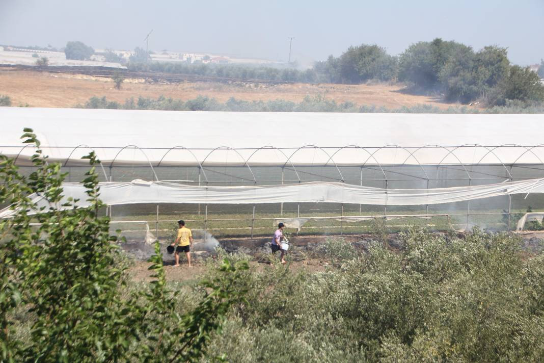 Otluk alanda başladı orman ve seralara sıçradı - Resim: 1